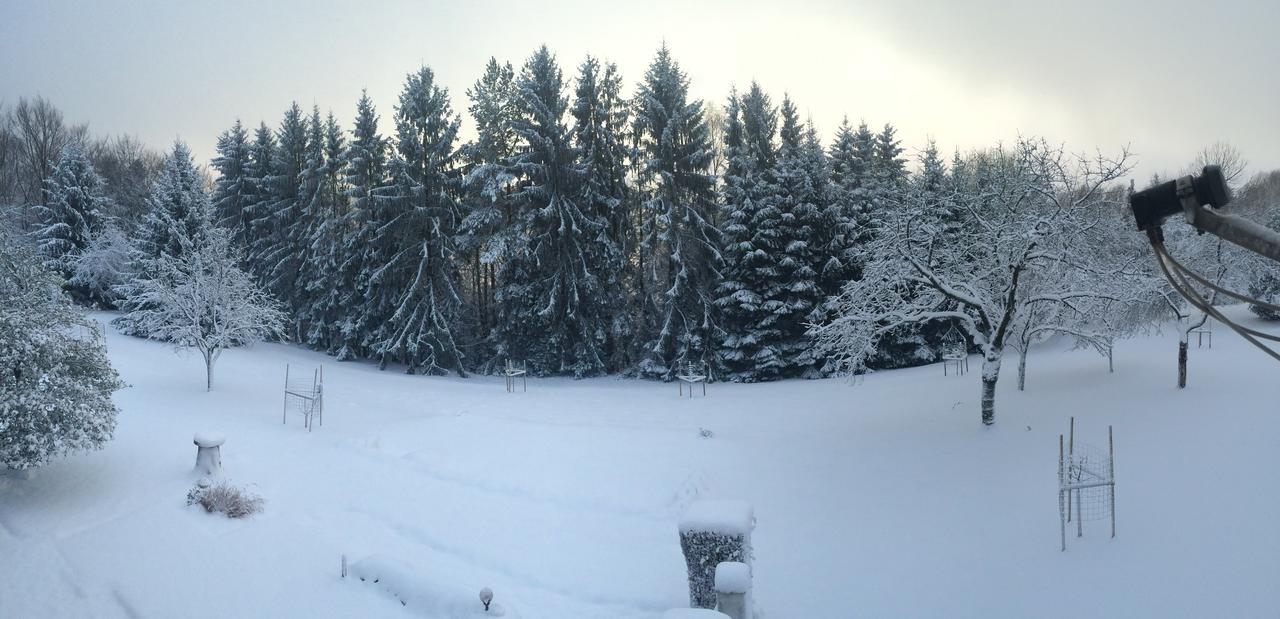 Gite Et Chambre D'Hotes La Petite Source Dabo ภายนอก รูปภาพ